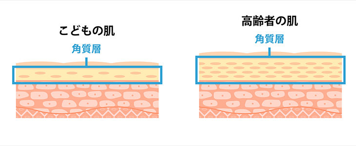 こどもと高齢者の肌の角質層の比較